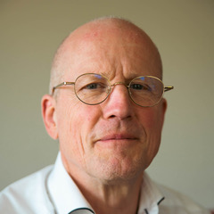Albert van Veen Coach / Psycholoog